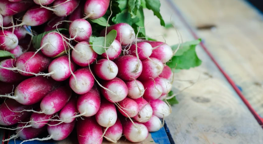 когда сеять редис в открытый грунт