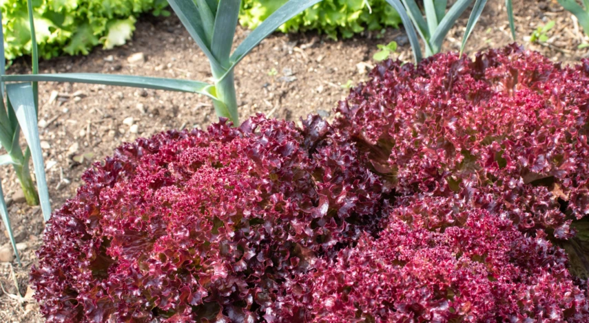 Совмещенные посадки