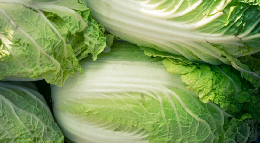 особенности пекинской капусты