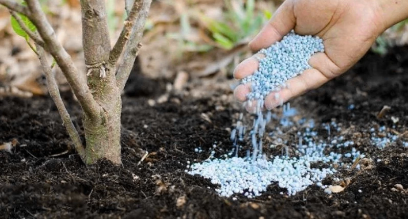 Внесение монофосфата калия