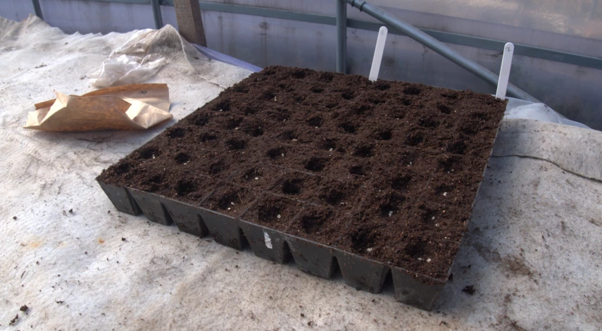 Емкость для рассады баклажана