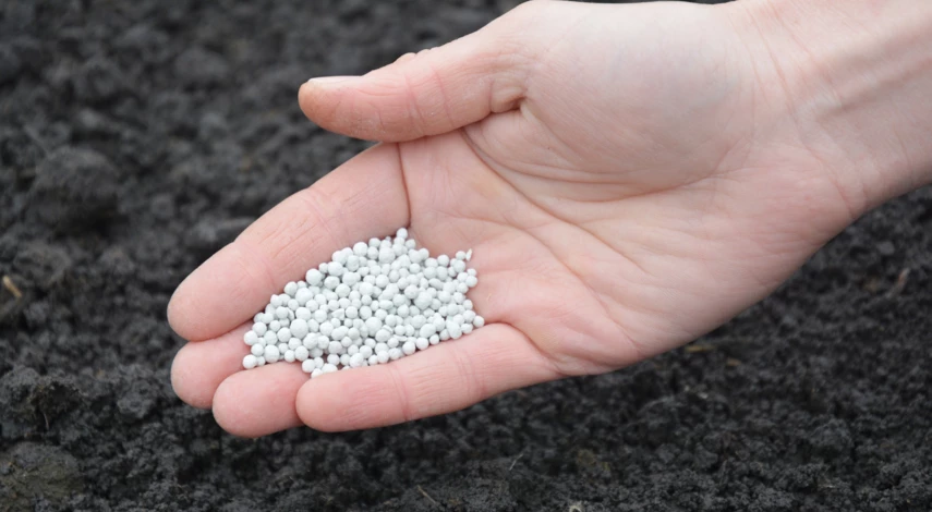 минеральные удобрения для грунта весной