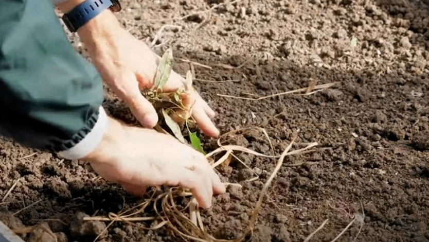 Подготовка почвы