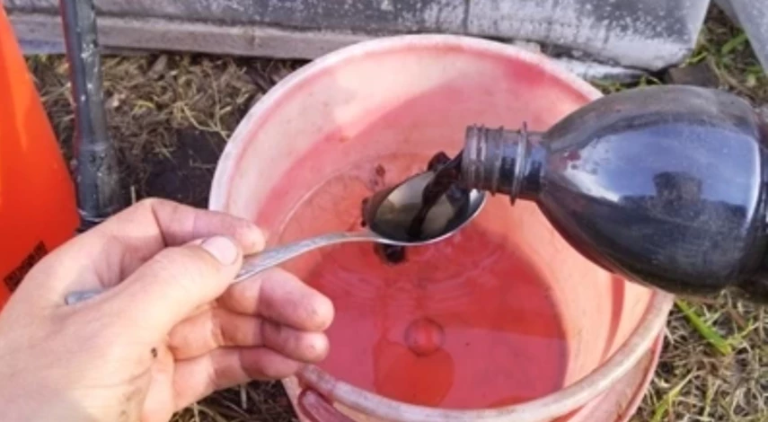 Приготовление гумата калия