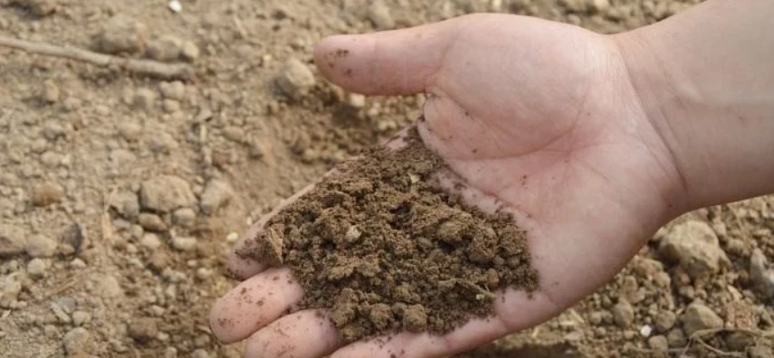 Почва для пересадки