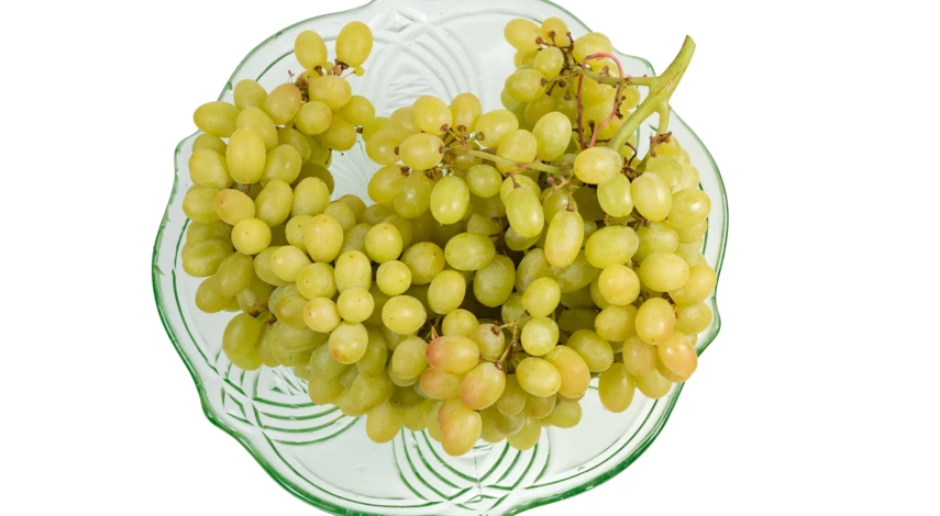 Кишмиш Столетие