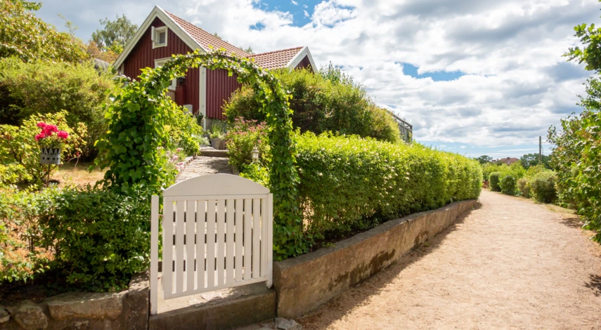 Посадка живой изгороди