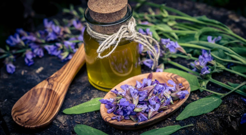 Использование сальвии в медицине