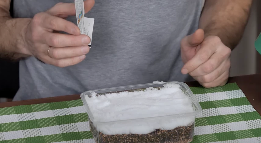 посадка цветов в марте