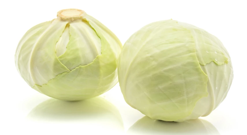 Гибрид капусты Мама F1