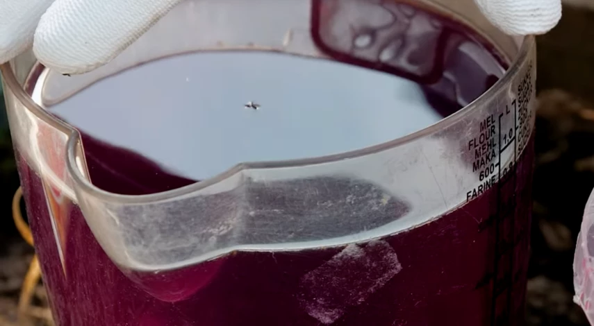 В чем замочить семена моркови