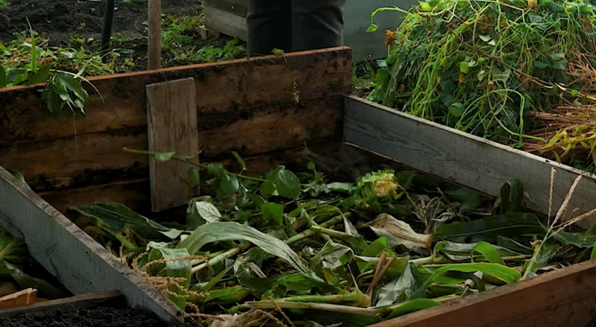Теплая грядка на уровне почвы