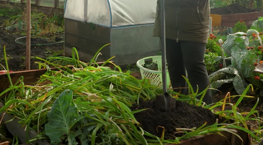 Начинка для теплой грядки