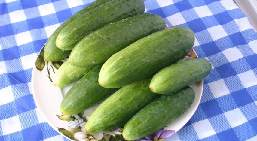 Зачем нужен севооборот