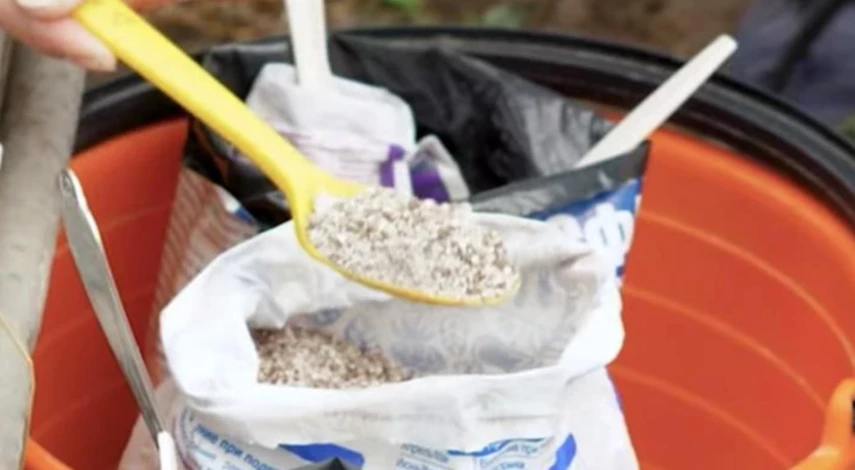 Удобрения для перца в теплице