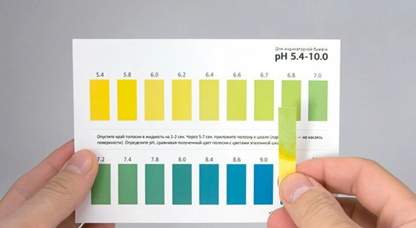 Почва для посадки хвойных деревьев
