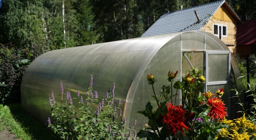 Арочная теплица и поликарбоната