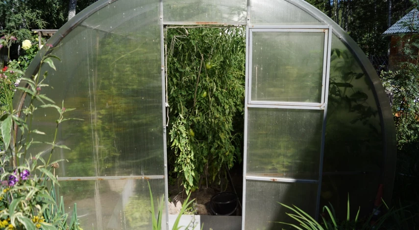 Рейтинг теплиц из поликарбоната