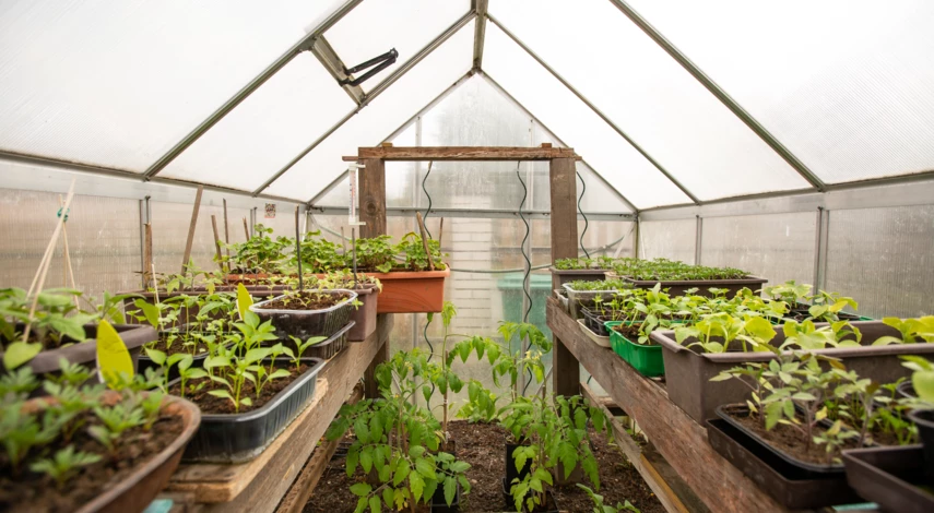 Телица из поликарбоната в форме домика