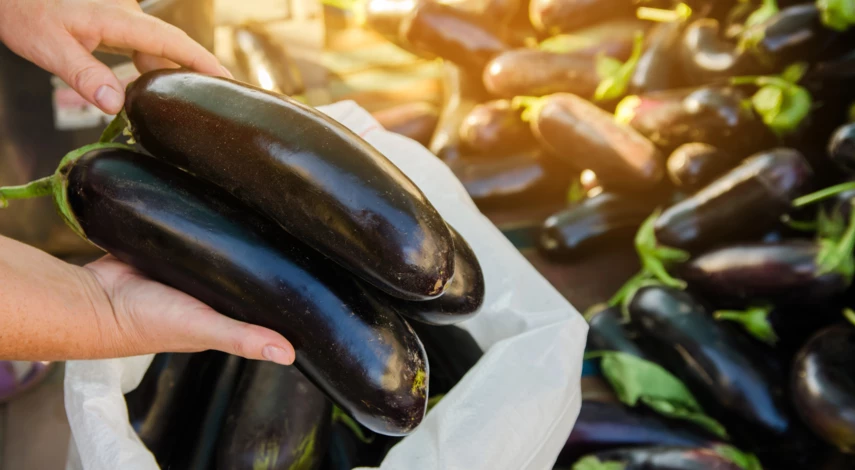 Урожай баклажанов