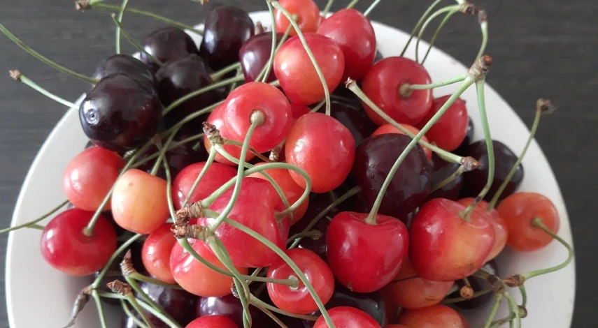 как ухаживать за черешней