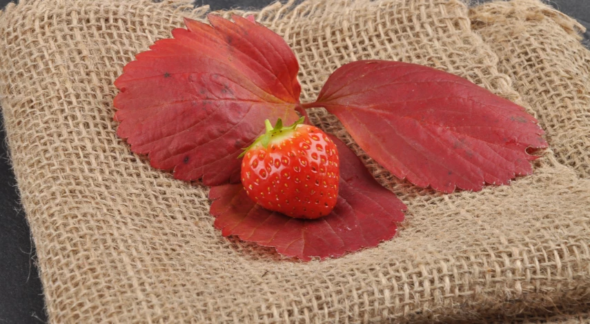 Почему краснеет земляника садовая