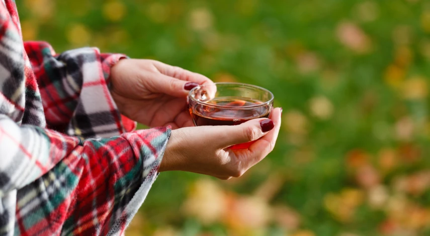 Рецепт компота из жимолости