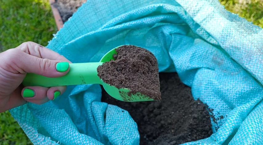 Подкормка роз