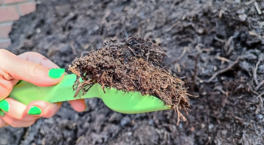 Удобрения для роз