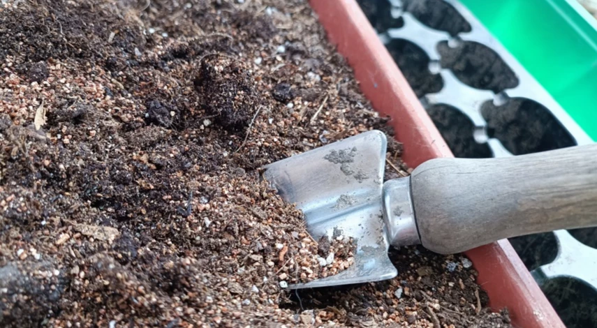 Субстрат для укоренения черенков