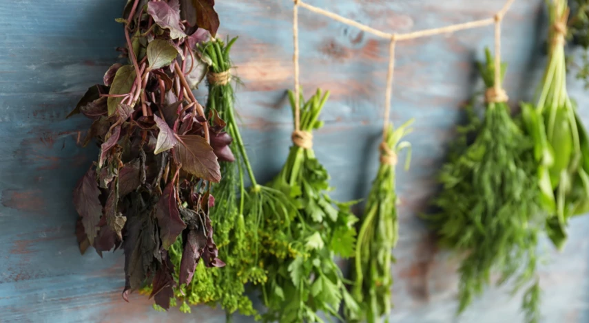 Сушка зелени естественным способом