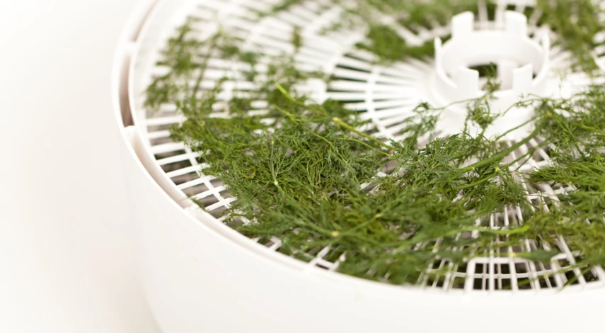 Способы сушки зелени