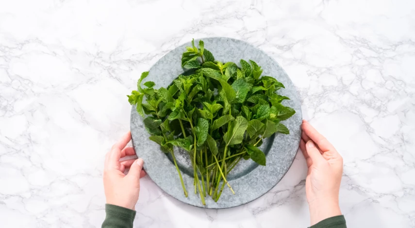 Сушка мяты в микроволновке