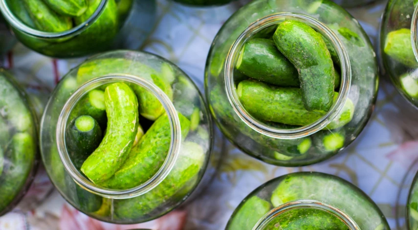Засолка огурцов в банках