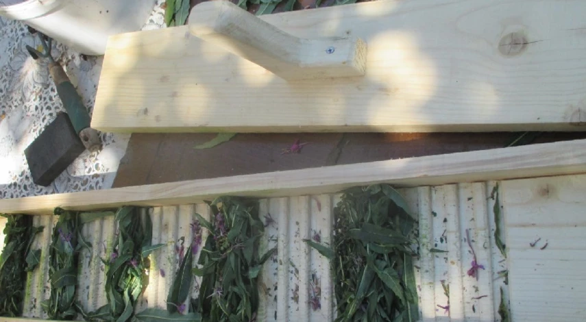 как быстро скручивать иван чай для ферментации