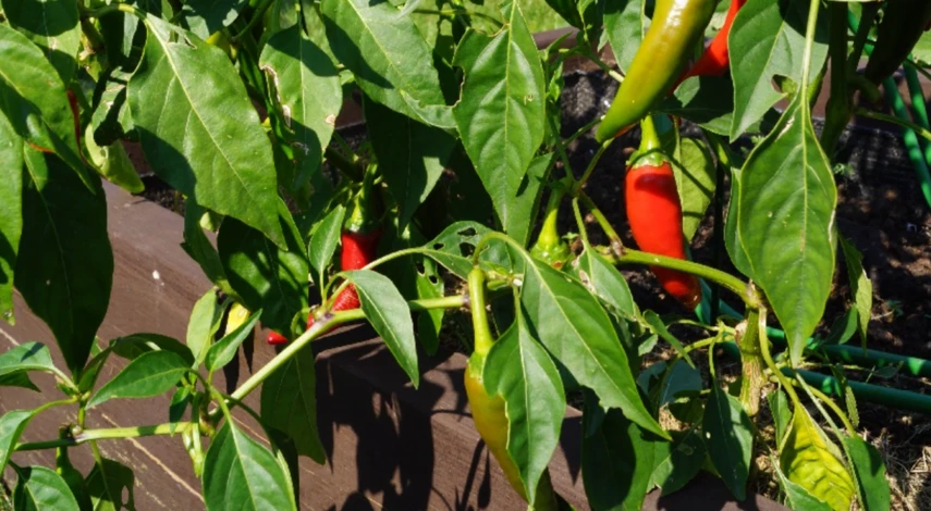 Благоприятные дни августа 2023