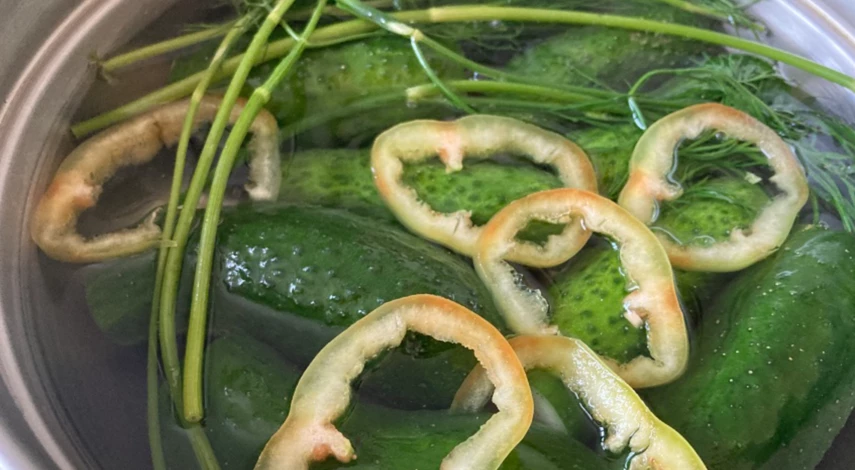 Малосольные огурцы в кастрюле