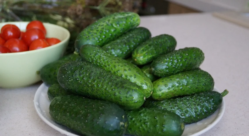 Огурцы для маринования