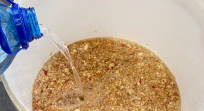 Яблочная брага