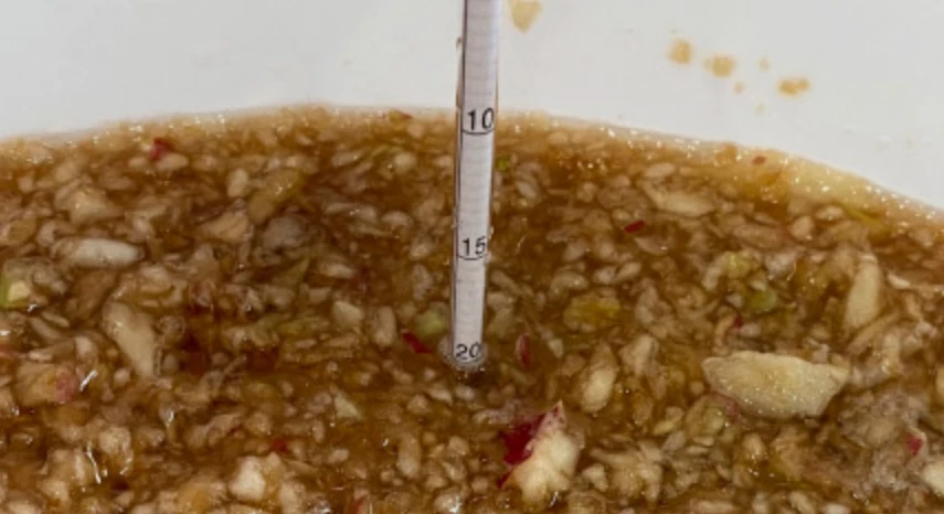 Брага из яблок своими руками