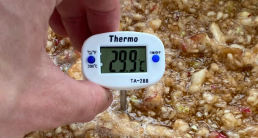 Самодельная брага из яблок