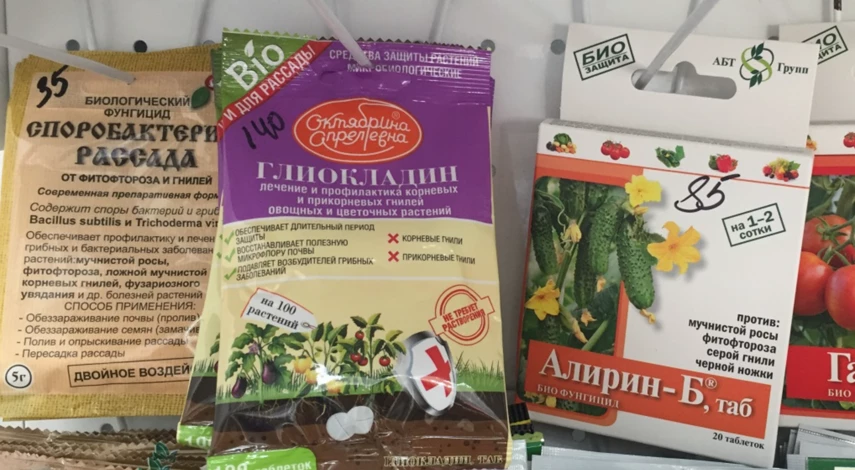 Препараты для обработки крыжовника