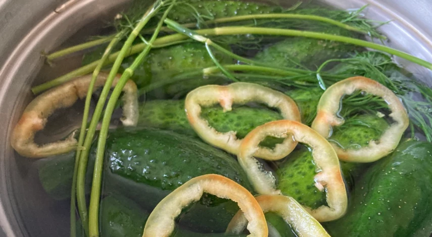 Квашение на зиму