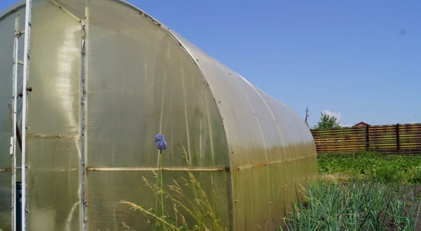 рейтинг поликарбоната для теплиц