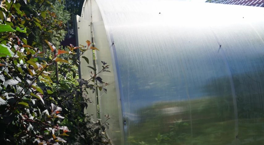 рейтинг тепличного поликарбоната