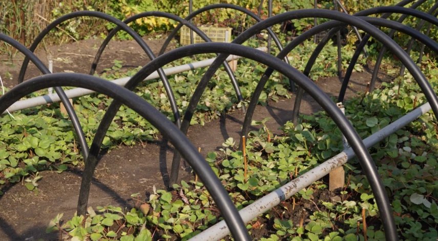 Что делать на даче в сентябре