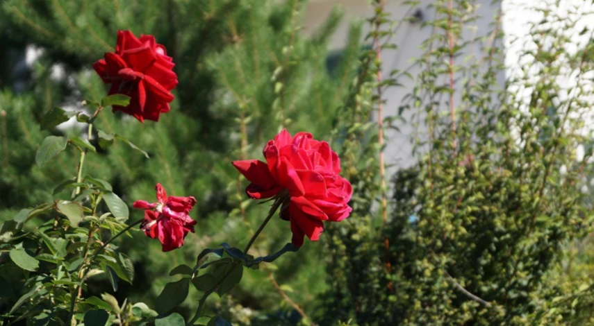 Благоприятные дни в сентябре