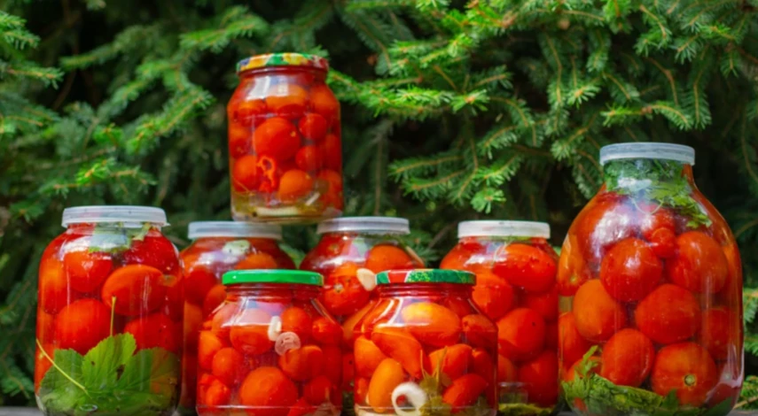 рецепты вкусных соленых томатов