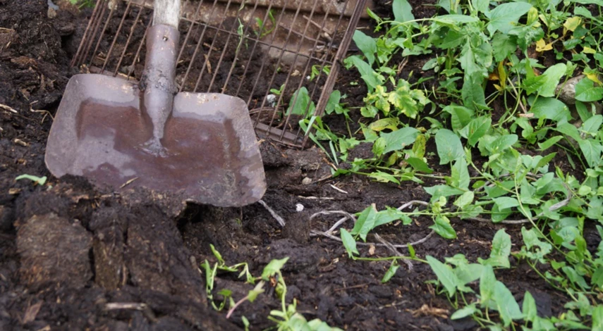 Подготовка грядок в сентябре