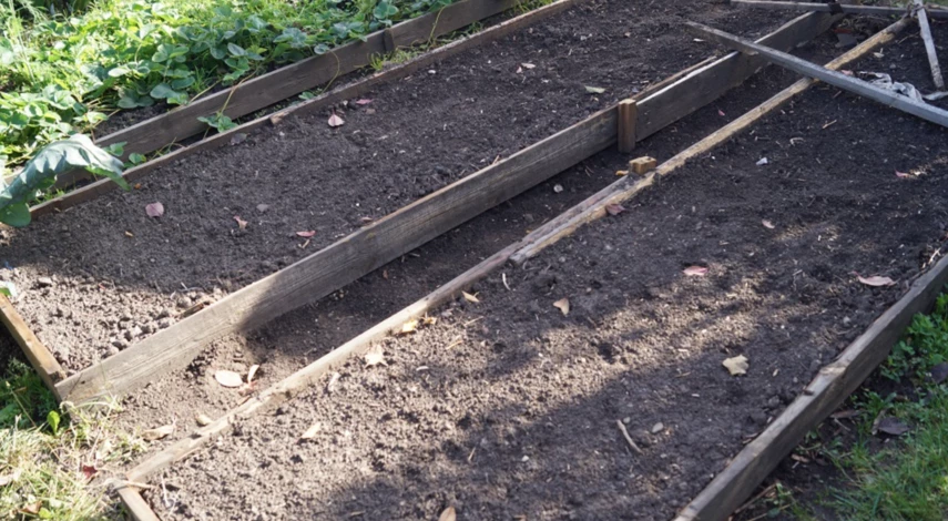 Обработка грядок в сентябре